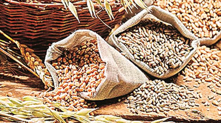Gujarat, Gujarat news, Gujarat food production, Gujarat food grain production declined, Narmada water scarcity, ,food grain production declined due to poor monsoon, water scarcity, Indian Express news