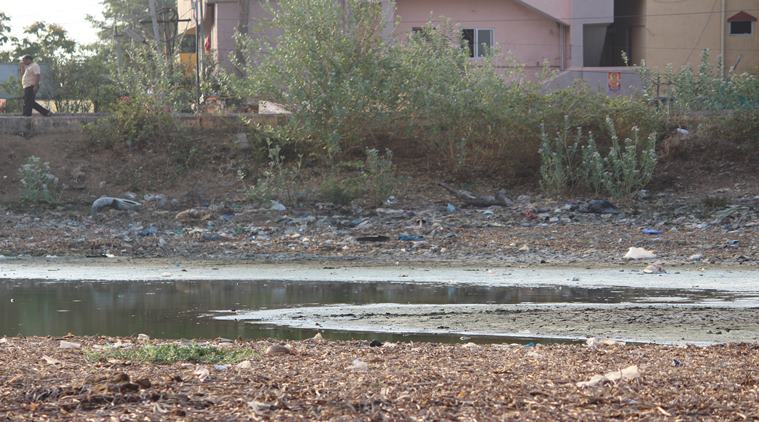 Chitlapakkam lake, lake restoration, Chennai