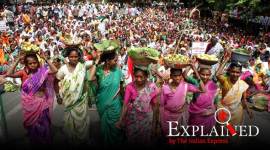 Explained: Why amendments to the Indian Forest Act have met with protests