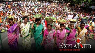 Explained: Why amendments to the Indian Forest Act have met with protests