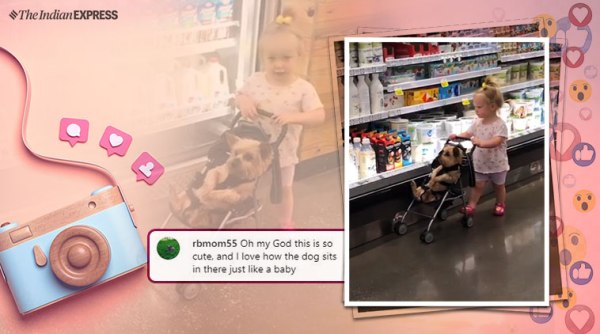 cute baby videos, cute dog videos, dog in stroller video, toddler and dog viral video, toddler with dog instagram viral video, trending, Indian Express news