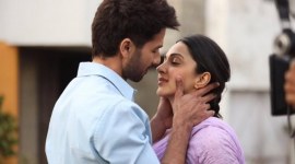 Kabir Singh box office collection Day 19