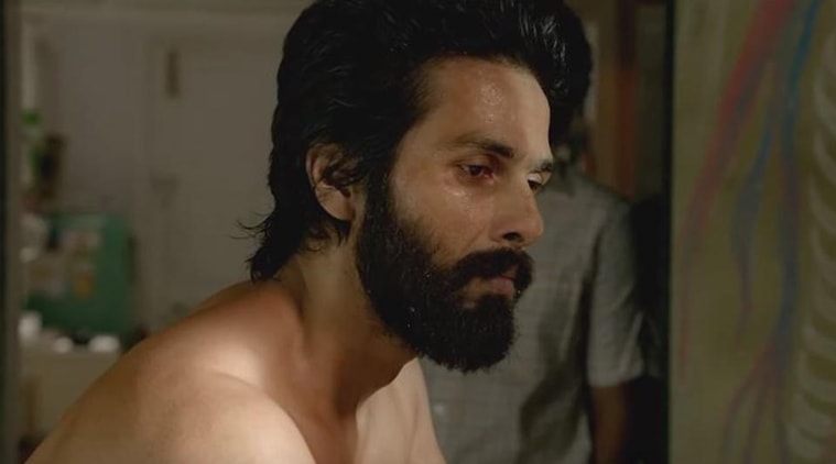 Kabir Singh box office collection Day 15