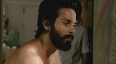 Kabir Singh box office collection Day 15