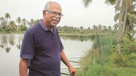 Hormis Tharakan, raw chief, Hormis Tharakan farming, raw chief farming, Hormis Tharakan agriculture, raw chief agriculture, raw chief paddy, india news, indian express news