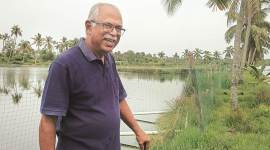 Hormis Tharakan, raw chief, Hormis Tharakan farming, raw chief farming, Hormis Tharakan agriculture, raw chief agriculture, raw chief paddy, india news, indian express news