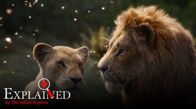 The Lion King: The Story of a stage-screen legend