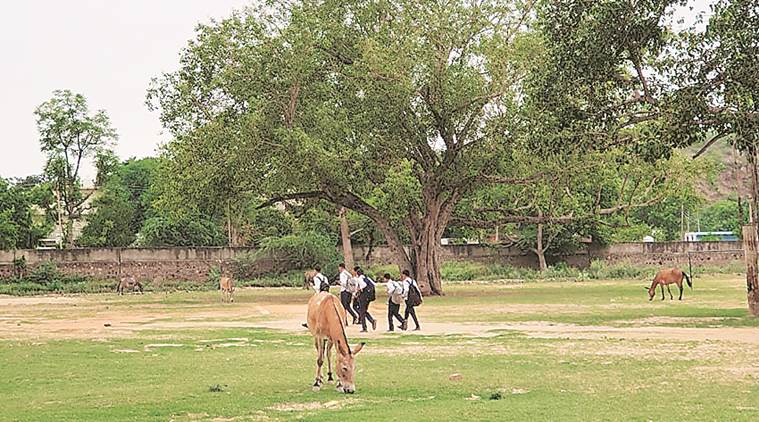 Manesar schhol safety, manesar students safety issue, manesar school, security issue, students security, punjab and haryana high court, indian express