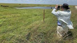 Martin Scorsese instagram