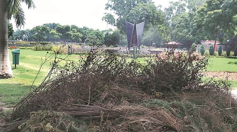 Martyr's Pillar, Kargil Vijay Diwas, Martyr's Pillar shamble, Chandigarh newsline, memorial record, Chandigarh MC, Congress Consillor, Congress Councillor Devider Babla, Martyrs, Chandigarh news, Indian Express news