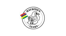 ifogi ltd, mauritius leaks, nasdaq listing, mauritius firm, express investigation, indian express