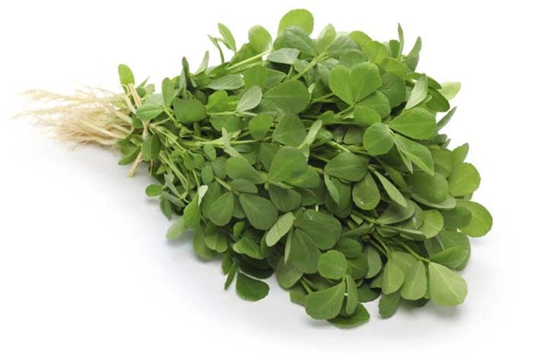 methi, methi leaves, methi seeds, fenugreen, indian express