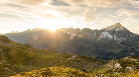 bison, prey, wolf, animal conflict, animal kingdom, life positive, inspiring videos, morning thoughts, morning messages, good morning, positive videos, indianexpress.com, indianexpressonline, indianexpress, indianexpressnews,