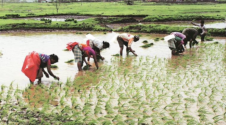 mumbai rains, imd, india meteorological department, mumbai monsoon, rains in mumbai, monsoon in mumbai, monsoon in maharashtra, mumbai news, Indian Express