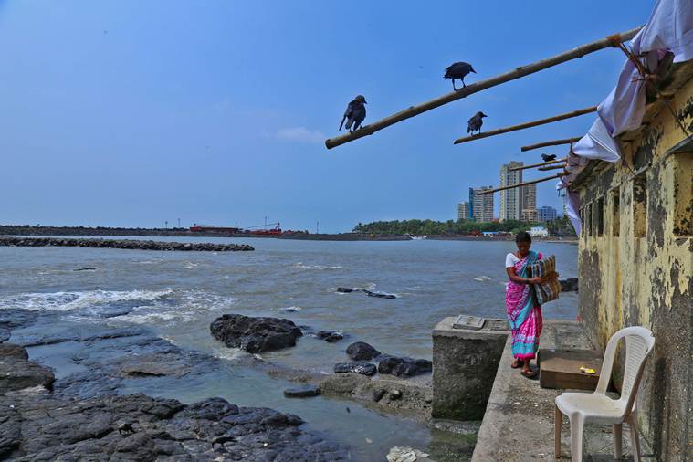 Mumbai, Mumbai News, Mumbai Coastal Zone, Maharashtra revenue department, South Mumbai, High Tide Line, India News, Indian Express