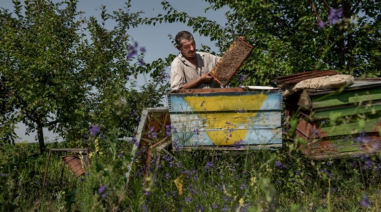Moldova, Village in Moldova, Dobrusa, Dobrusa village, abandoned village in Moldova, World news, Indian Express news