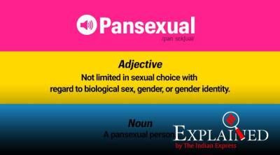 Explained: What does it mean to be pansexual? | Explained News - The