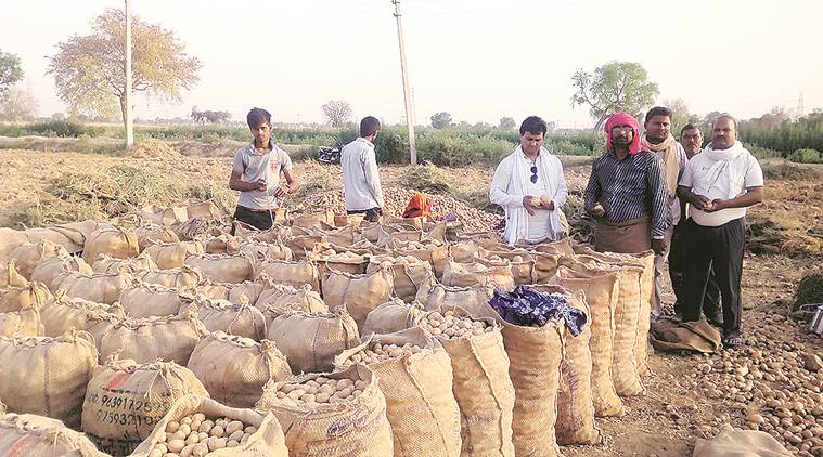 indian farmers, indian farmlands, indian farms, indian agriculture model, agrarian crisis, indian agrarian crisis,