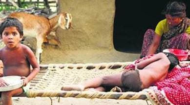 Telling numbers: More obesity in India and world, but global count of hungry rising