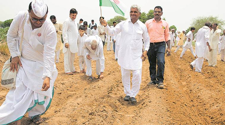 Haryana farmers defy govt restriction, sow banned HT Bt cotton in Hisar