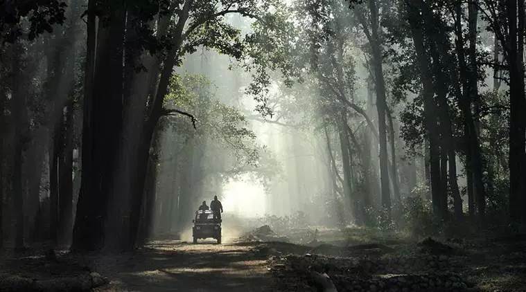 Supreme Court, Rajaji, Uttarakhand, Rajaji Tiger Reserve, Jim Corbett, highway construction, uttarakhand government, Ramnagar-Kalagarh road, Jim Corbett animals, how to visit jim corbett, Indian Express