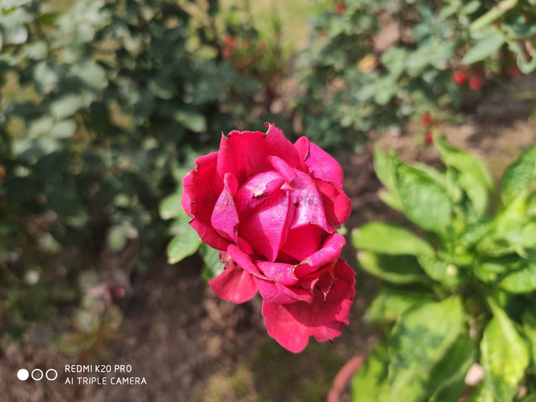 Redmi K20 Pro review, Xiaomi Redmi K20 Pro, Xiaomi Redmi K20 Pro review, Redmi K20 Pro specifications, Redmi K20 Pro features, Redmi K20 Pro price in India, Redmi K20 Pro sale