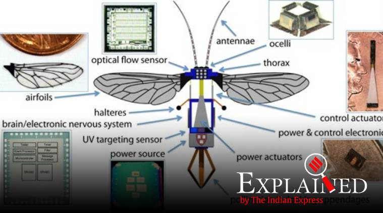 robobee, robobee x wing, fly like robot, flying machine, tiny robot, Harvard Microrobotics Laboratory, indian express