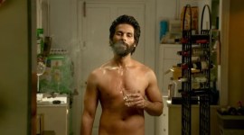 Kabir Singh box office collection Day 17