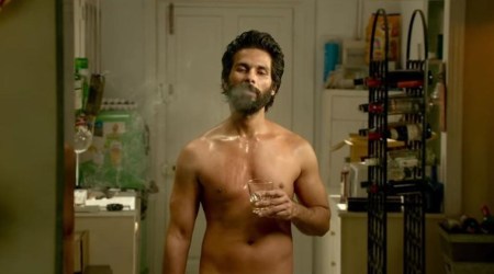 Kabir Singh box office collection Day 17