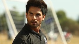 Kabir Singh box office collection day 20 Shahid Kapoor