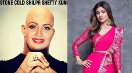 shilpa shetty john cena