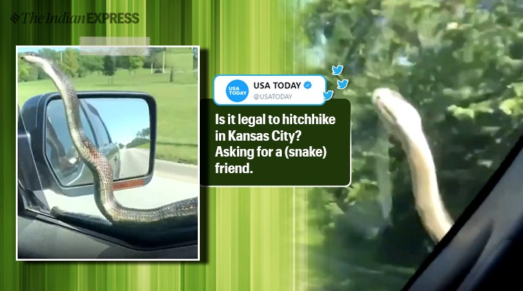 Kansas City, snake Kansas city, snake on mirror, Kansas mirror snake, scary snake, snake windshield, trending, Indian express