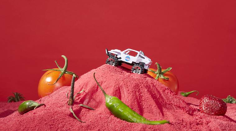 Nasa, nasa space food, space food by nasa, mars food, food for mars, nasa mars mission, astronauts, space mission, gardening for mars, gardening for space food, space food gardening, indian express