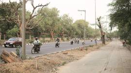 delhi news, sunder nagar, sunder nagar nursery, purana quila, purana quila new delhi, pragati maidan, pragati maidan new delhi