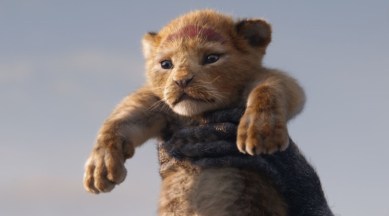 Tamilrockers 2019 The Lion King Full Movie Download Online: The Lion King  Movie leaked online to download by tamilrockers