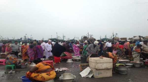 Chennai, North Chennai, Kasimedu Fishing Harbour