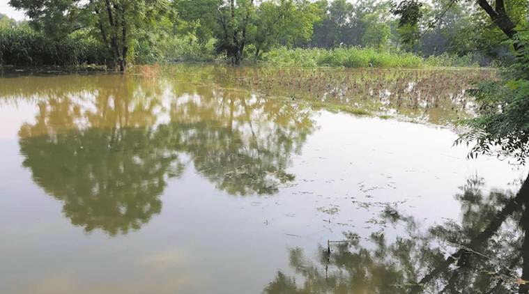 Farmers have offered their lands around Ghaggar to widen river, says Sangrur DC