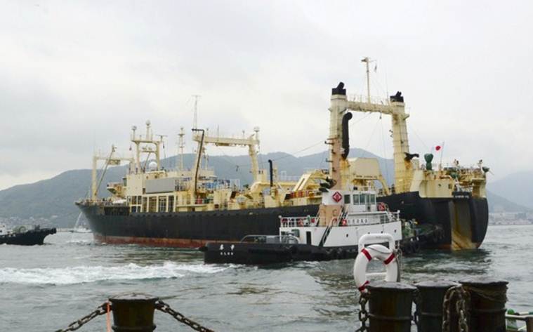Japan, Japan whaling, Japan commercial whaling, Japan whaling commission, Japan research whaling, International Whaling Commission