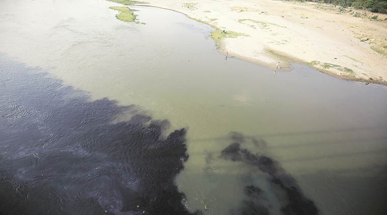Delhi will not survive without Yamuna, says NGT chairman