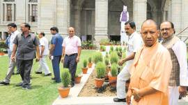 UP government, caste certificates, sc, obc, sc list debate, up caste certificates, mayawati, yogi adityanath, uttar pradesh, caste politics, indian express