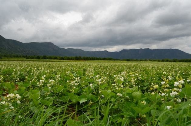 domestic tourism, Narendra Modi, Kerala tourism, North east tourist places, indianexpress.com, indianexpress, independence day speech, Arunachal Pradesh tourism, bundi tourism, rajasthan, incredible india, gavi kerala, bundi, assam,