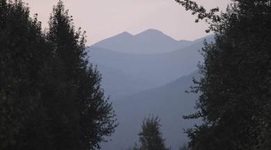 alaska wildfires, alaska, wildfires in alaska, alaska fall, fall in alaska, alaska fires, wildfires alaska, world news, Indian Express