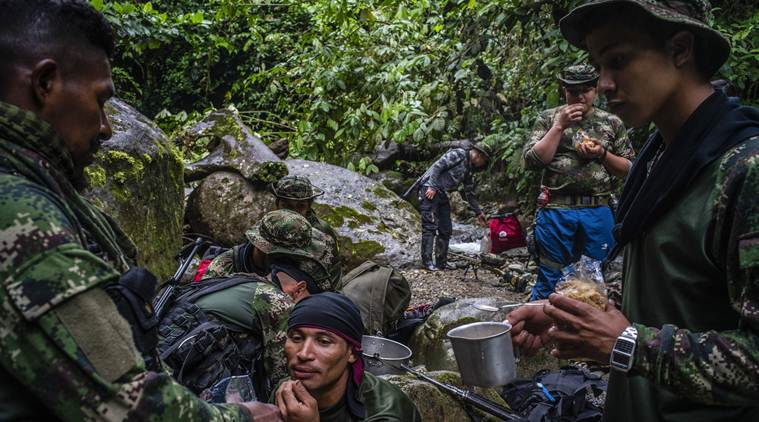 Amazon forests are being razed at breakneck speed, and not only in Brazil