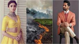 alia bhatt, ayushmann khurrana on amazon forest fire