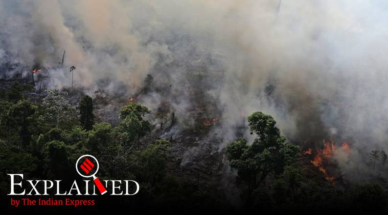 Amazon forest fire, amazon fire, Brazil president on Amazon fires, Fires in the Amazon, Amazon rainforest fires, amazon fire photos,