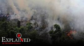 Amazon forest fire, amazon fire, Brazil president on Amazon fires, Fires in the Amazon, Amazon rainforest fires, amazon fire photos,