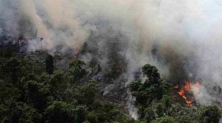 amazon rainforest, amazon rainforest fires, amazon forest fires, fire at amazon rainforest, fires in amazon forest, fires in amazon rainforest, world news, Indian Express