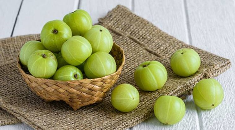 amla, indian gooseberry, health benefits of amla, indian express