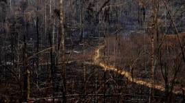 APTOPIX Brazil Amazon Fires Brazil to hire short-term environmental enforcers following Amazon fires