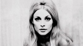 sharon tate birthday